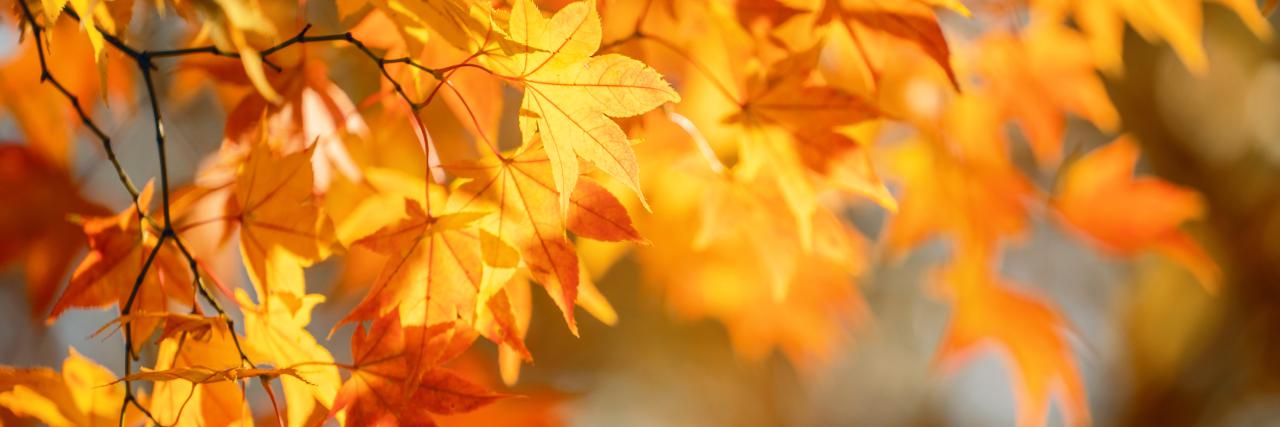 Oznam o jesenných prázdninách